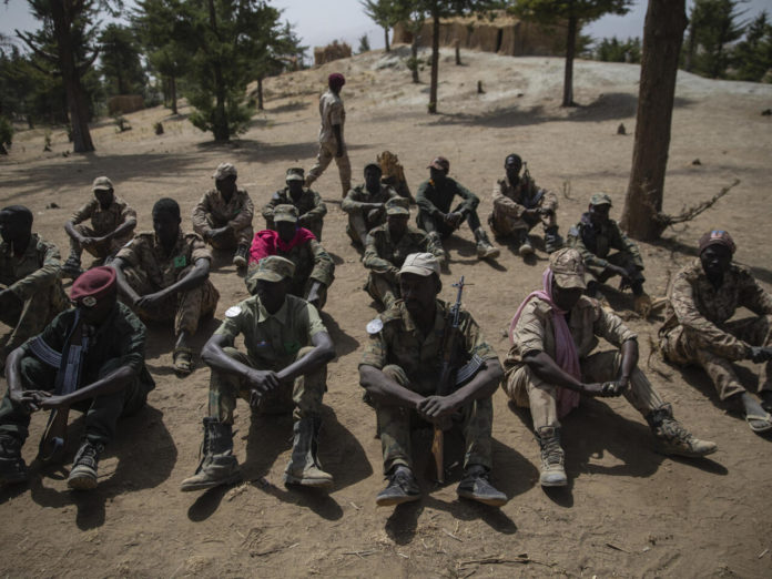 Djibouti: le FRUD-armé libère les six soldats faits prisonniers en octobre