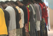 Drogue à Keur Massar : Un gang de trafiquant arrêté par la gendarmerie…