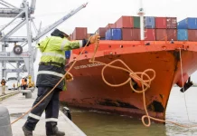 Drogue: le port d'Anvers, point d'entrée de la cocaïne en Europe, bat un nouveau record