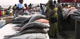 Le poisson, une denrée rare et chère