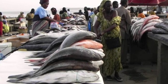 Le poisson, une denrée rare et chère