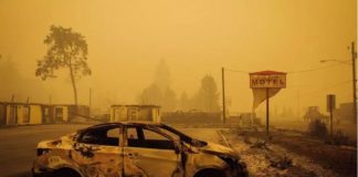 Incendies aux États-Unis: un demi-million de personnes évacuées dans l'Oregon