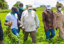 Le Président Macky Sall a visité les champs de la coopérative de Firgui Dabali spécialisée dans les semences d’arachide.