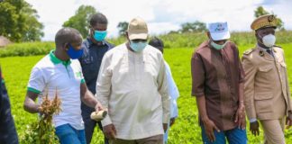 Le Président Macky Sall a visité les champs de la coopérative de Firgui Dabali spécialisée dans les semences d’arachide.