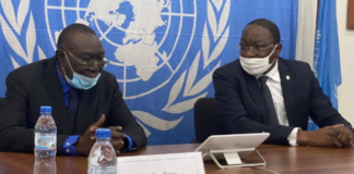 Centrafrique: Michel Djoyodia reçu par le Représentant spécial des Nations Unies à Bangui, Mankeur Ndiaye