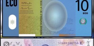 CFA-Eco : la monnaie unique de la Cedeao « différée à une date ultérieure »