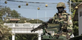 La mission des forces de la Cedeao en Gambie prolongée de 6 mois