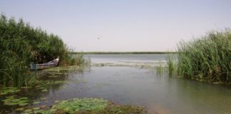 Un corps sans vie retrouvé dans le lac de guiers!