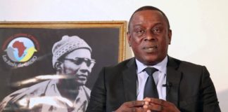 Crise malienne : Cheikh Tidiane Gadio désigné envoyé spécial de l’OIF