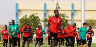 Matchs amicaux d’octobre : quel intérêt pour les Lions ?