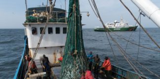 Un pêcheur sénégalais brûlé vif par des Chinois au large de la Gambie
