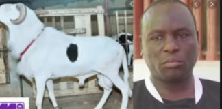 Révélations sur l’enquête de la gendarmerie: «Boy Kairé » a été braqué par ses…voisins