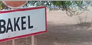 Bakel : 132 ha de cultures engloutis dans les eaux