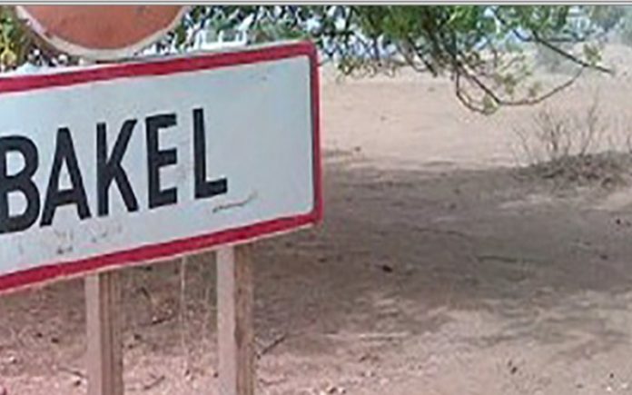 Bakel : 132 ha de cultures engloutis dans les eaux