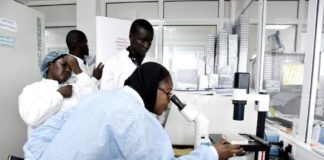 Alors qu’une tendance baissière du nombre de cas positifs de coronavirus est notée, la courbe des guérisons devient exponentielle. Hier, le Sénégal a dépassé la barre des dix mille guérisons. D’après le ministère de la Santé, rapporte L’AS, sur 14 102 cas déclarés positifs 10 176 sont guéris contre 293 décédés. Aussi les cas sous traitement ont connu une baisse. Le Sénégal qui avait atteint la barre des quatre mille est désormais à 3 632 cas sous traitement. Par ailleurs, le ministère de la Santé et de l'Action sociale a indiqué, hier, que sur les 1 317 tests réalisés, 58 sont revenus positifs, soit un taux de positivité de 4,40 %.