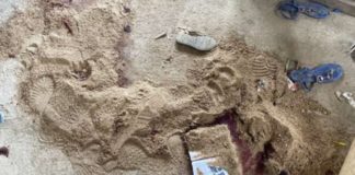 Le Cameroun sous le choc après l’assassinat des sept enfants dans leur école