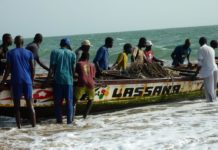 Pêche sous-marine, plongée à risques dans un business florissant