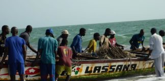 Pêche sous-marine, plongée à risques dans un business florissant