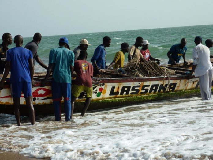 Pêche sous-marine, plongée à risques dans un business florissant