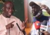 Mansour Faye-Sonko : Suite, mais pas fin !