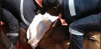 Yeumbeul Nord : Le film de la mort d'El Hadji Mbaye exécuté par une bande de quatre malfaiteurs