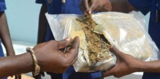 Le vieux transitaire à la retraite trafiquait de la drogue chez lui…