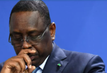 L'alerte du Sine au Président Macky Sall : Revoyez votre façon de faire