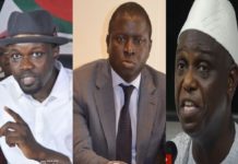 Sonko, le magistrat Cheikh Issa Sall et l'audience avec Mansour Faye