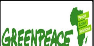 Greenpeace Afrique à Alioune Ndoye: « Trouver des lacunes juridiques pour accorder des licences aux navires étrangers est contraire à l'éthique »