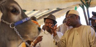 Grogne dans le secteur de l’élevage