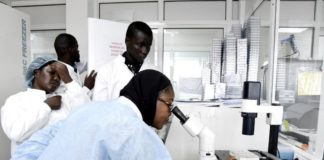 Covid-19, Point du Jour: 13 nouveaux cas et 1 décès supplémentaire