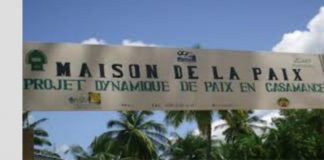 Casamance : Des observateurs de la crise font le bilan du processus de paix