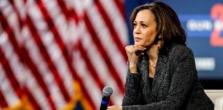 Pierrette Herzberger-Fofana, Eurodéputée : « Kamala Harris incarne un rêve pour des millions de femmes »
