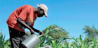 CAN U20 (UFOA A) : Les Lionceaux contraints au nul