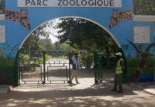 Covid-19, confinement, inondations : Le parc de Hann, un désert à Dakar