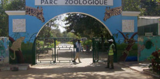 Covid-19, confinement, inondations : Le parc de Hann, un désert à Dakar