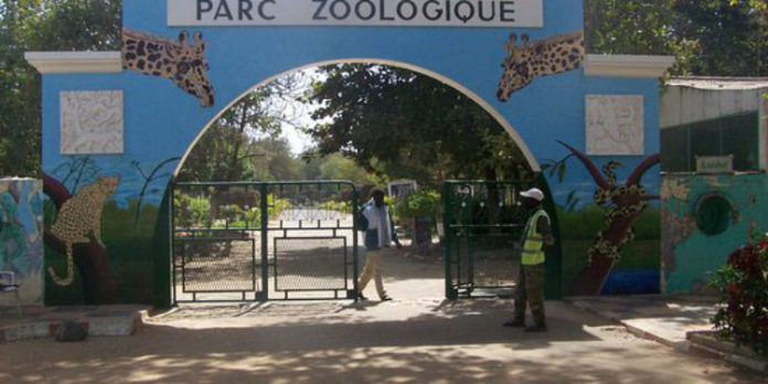 Covid-19, confinement, inondations : Le parc de Hann, un désert à Dakar