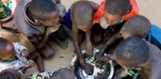 Plus de 516 000 Sénégalais menacés de famine