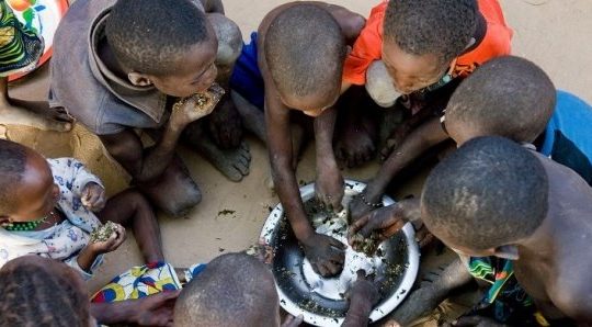 Plus de 516 000 Sénégalais menacés de famine