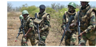 Casamance : Des tirs à l'arme lourde entendus...