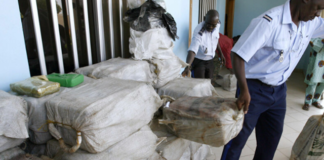 Somone : 600 kg de cocaïne saisis…