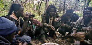 Casamance : Le Mfdc ne veut plus de guerre et appelle au dialogue avec Macky