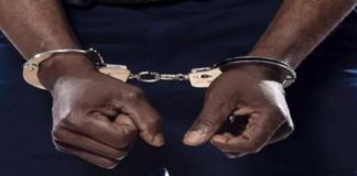 Vol en réunion : Après avoir volé un mouton, Ibrahima Coundoul l'égorge et le vend au boucher Moustapha Seck.