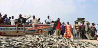 Pêche : Un conseil présidentiel prévu au mois de mai