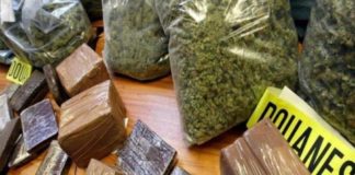 Kaolack : Près de 2 tonnes de chanvre indien saisies par la douane