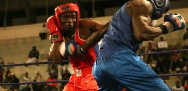 Championnat de Boxe, 1e journée : 52 combattants sur le ring, ce vendredi