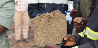 Trafic de drogue : Deux militaires arrêtés avec 50 kg de chanvre indien