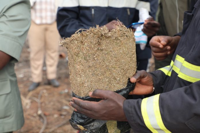 Trafic de drogue : Deux militaires arrêtés avec 50 kg de chanvre indien