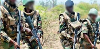 Bignona: Des échanges de tirs entre des éléments armés et FDS font un mort