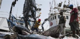 Implantation d’une Amp à Somone : Les acteurs locaux de la pêche disent niet